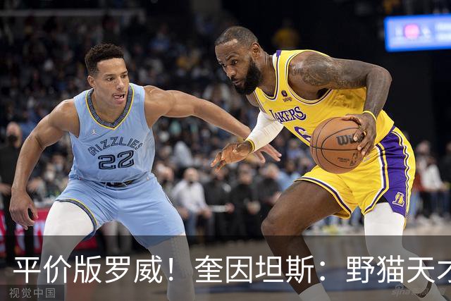 平价版罗威！奎因坦斯：野猫天才内线 存伤病隐患 罚球致敬米切罗