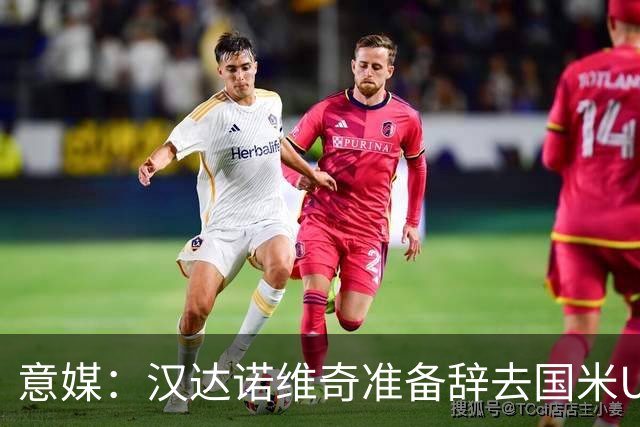 意媒：汉达诺维奇准备辞去国米U17青年队帅位，回国执教职业球队